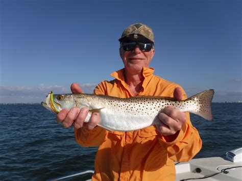 Fishing In Sarasota A Complete Guide Siesta Key Fishing Charters