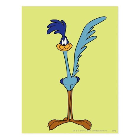 Road Runner In Color Postcard Looney Tunes Characters