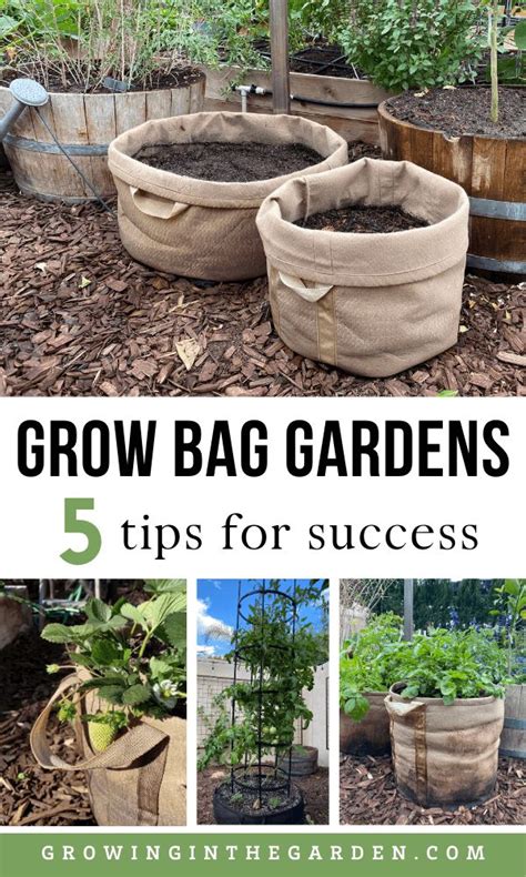Gardening In Grow Bags 5 Tips For Success Growing In The Garden In