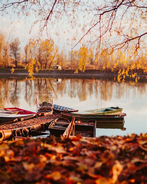 Free Picture Fishing Boat Boat Autumn Shore Landscape Lakeside