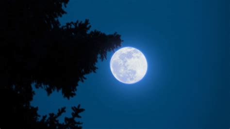 Luna Azul Halloween Tendrá Este Evento Astronómico En La Noche Fecha