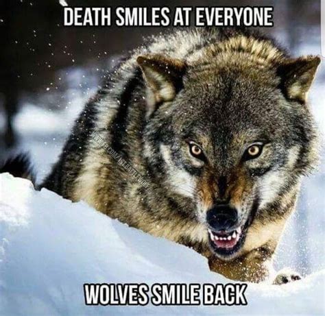 Pin By Claude Heroux On Wolf Pics Wolf Quotes Lone Wolf Quotes