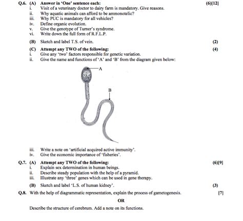 Education Biology March 2016 Hsc