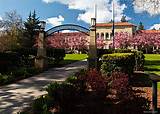 Oregon State University Online Bachelors Images