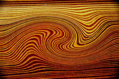 Wood Species Identification Wood Grain Burled Wood Wood Texture