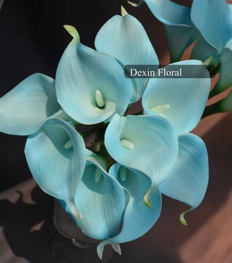 Egg Blue Turquoise Calla Lilies Real Touch Callas For DIY Etsy Real