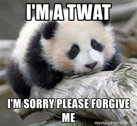 20 forgive me memes that ll show how sorry you are