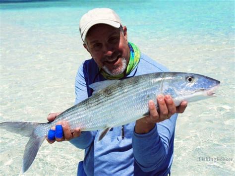 Best Times And Season To Fish The Bahamas Complete Guide Freshwater
