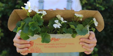 Little plants is a friendly local business based in parkwood, on the gold coast. Plants in a Box | Plant Delivery Gold Coast | The Weekend ...