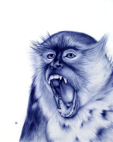 Animal Portraits With A Bic Pen By Sarah Esteje Pondly