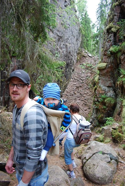 Multebær, blåbær og mos i skurugata.jpg 2,040 × 1,362; Mamman i de småländska skogarna: Skurugata!