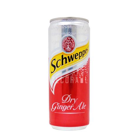 Schweppes Ginger Ale Can 1 X 330ml