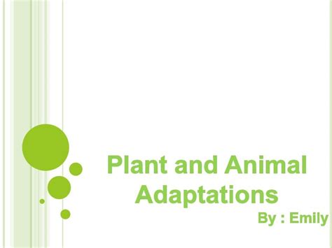 Plant And Animal Adaptations