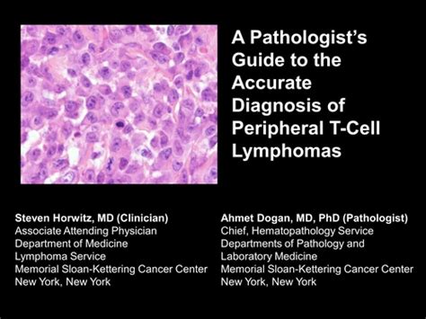 A Pathologists Guide To The Accurate Diagnosis Of Peripheral T Cell