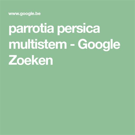 parrotia persica multistem - Google Zoeken | Zoeken