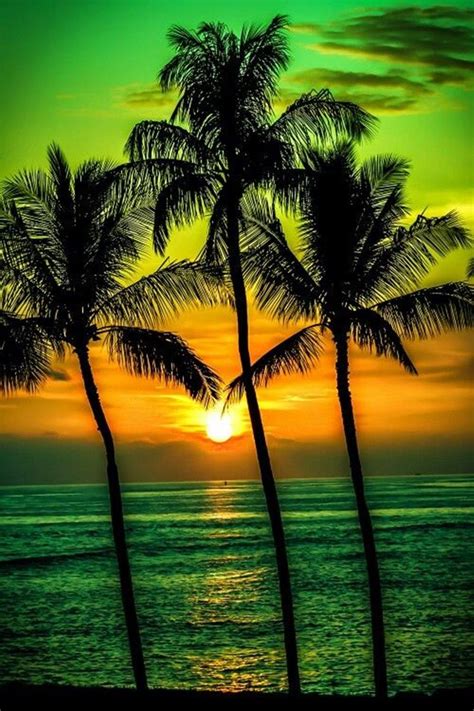 Beautiful Sunrise Beautiful Beaches Amazing Nature Amazing Sunsets