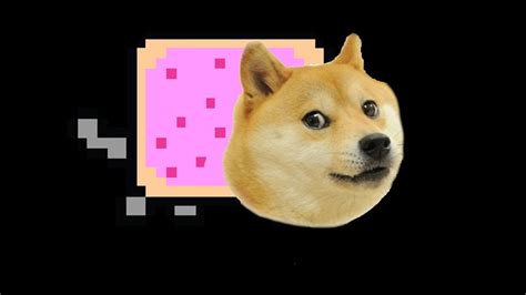 The Story Of Doge Youtube