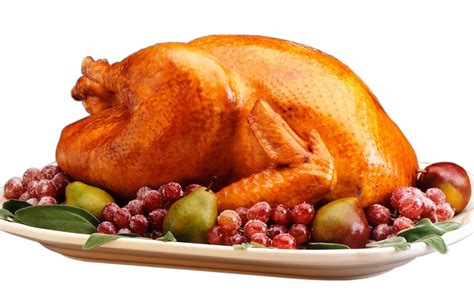 Turkey Transparent Background Png Play