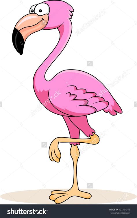 Flamingo Cartoon Flamingo Pictures Cartoon Flamingo