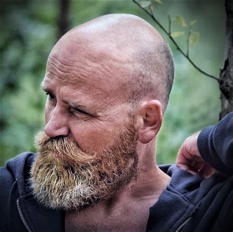 Viking Beard Styles For Bald Men Pin On Beard And Hair