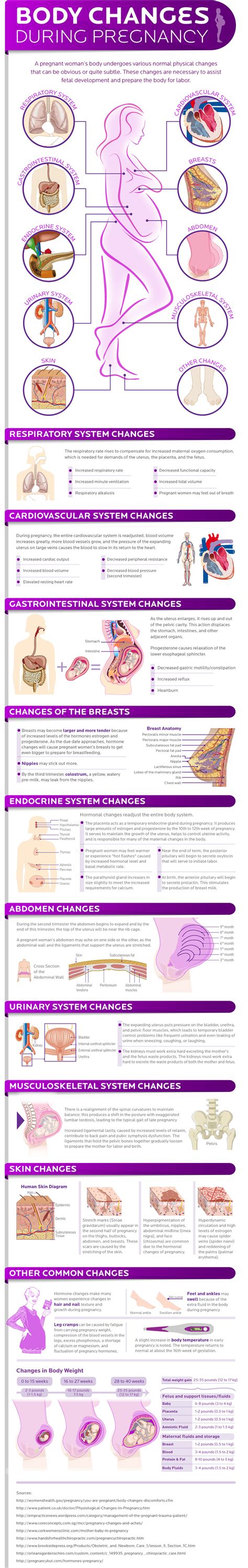 Body Changes After Pregnancy