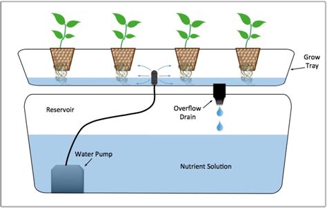 What Are The Types Of Hydroponics Systems Smart Garden Guide