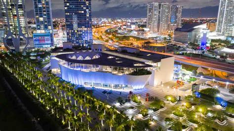top 15 best museums in miami 2024 visitors guide