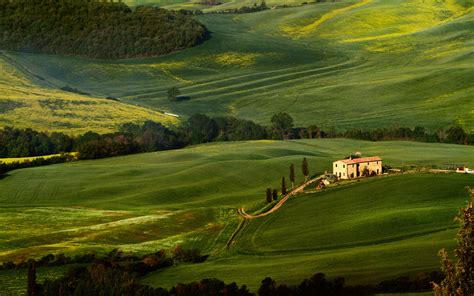 Tuscany Fields Trees Greenery Wallpapers Hd Desktop And Mobile