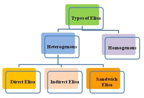 Learn the concept behind elisa assay today! 5 Types of Elisa|The Differences and Principle Explained