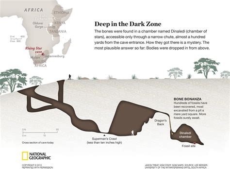 Researchers Discover Species Closely Related To Humans