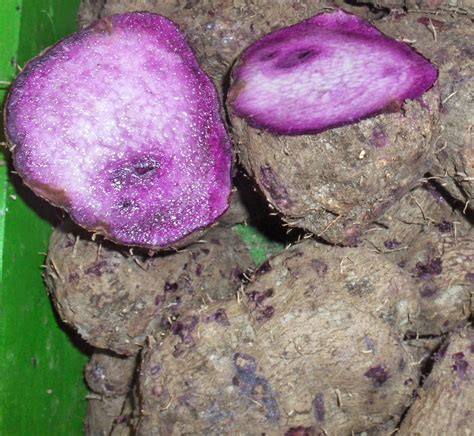 Ube The Philippine Tuber You Must Try Fork Knife 59 Off