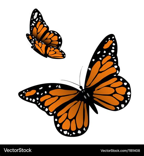 Free Vector Monarch Butterfly Svg Svg Png Eps Dxf File