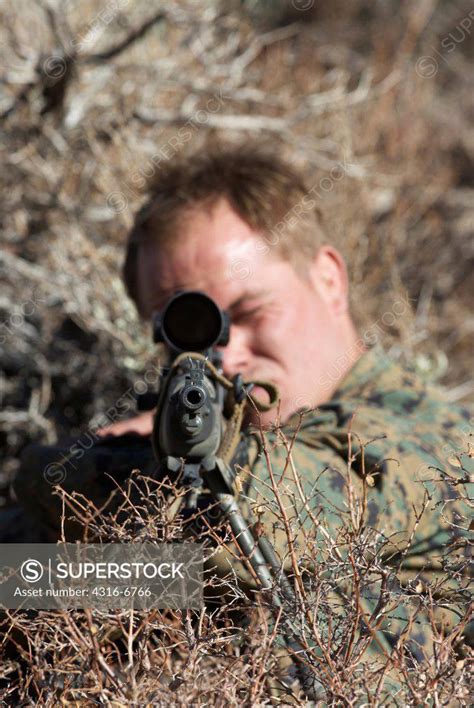 Us Marine Corps Scout Sniper Aiming An M14 Designated Marksman Rifle