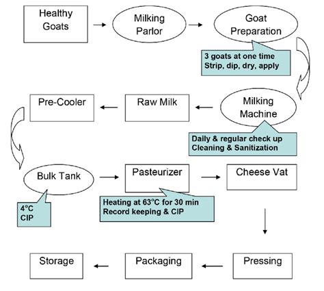 Haccp Flow Diagram Of Milking And Processingprocedures For Goat Milk