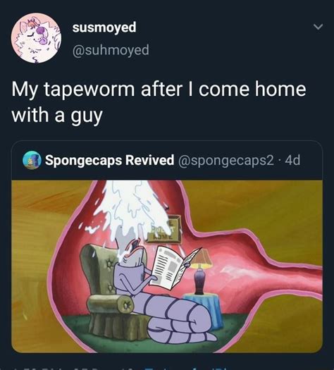 My Tapeworm After I Come Home With A Guy 3 Spongecaps Revived Vspongecaps2 Ifunny
