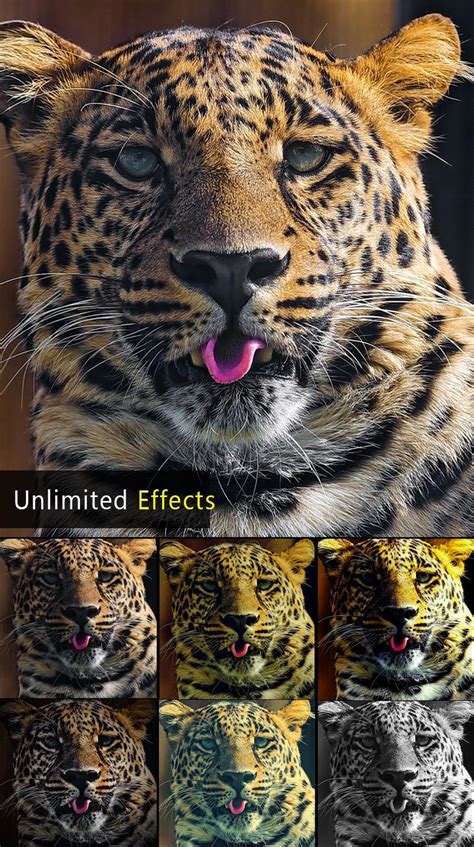 Hd Photo Editor Apk For Android Download