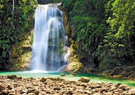 an oasis awaits in samana dominican republic waterfall en