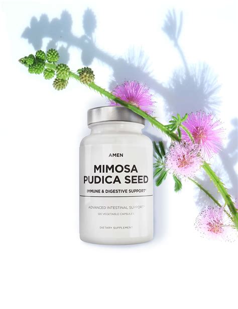 Amen Mimosa Pudica Seed Organic Mimosa Pudica Seeds Supplement