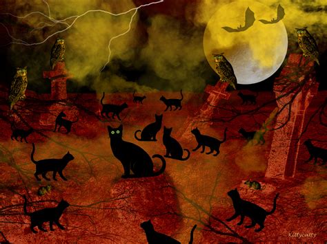 Free Download Halloween Night Cat Meeting Wallpaper X For Your Desktop Mobile