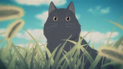 Top 25 Best Anime Cats That Are Purrfect 2024
