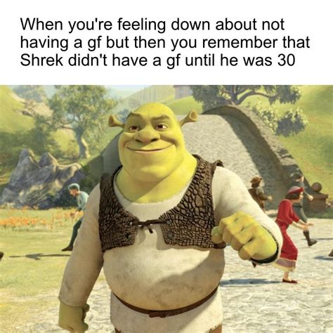 Memes Clean Shrek Kingmeme