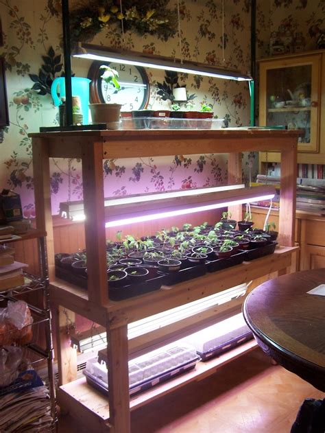 Homemade Seed Starting Grow Table Herbs Indoors Indoor Herb Garden