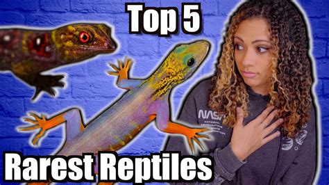 Top 5 Awesome Reptiles You Didnt Know About Youtube
