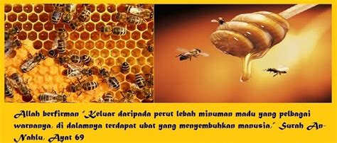 Ia juga dapat meningkatkan tenaga batin lelaki jika ia dicampur selain daripada itu, madu lebah juga boleh bantu memperbaiki bilangan sperma lelaki dan meningkatkan penghasilan sel sperma secara teratur. KHASIAT MADU LEBAH KELULUT ASLI SEDAP ENAK LELAKI SIHAT ...