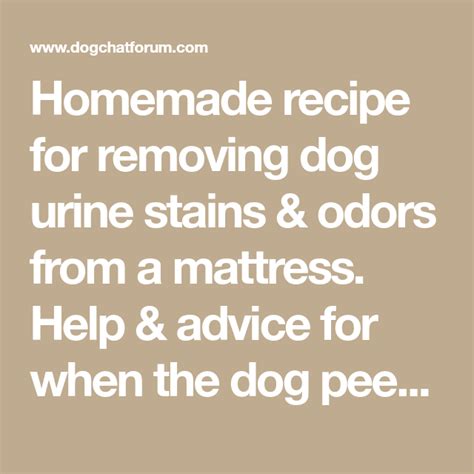 Apart from stains, the mattress also smells bad when you or your kids sleep on it. Homemade recipe for removing dog urine stains & odors from ...