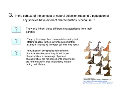 Ppt Natural Selection Powerpoint Presentation Free Download Id2630677