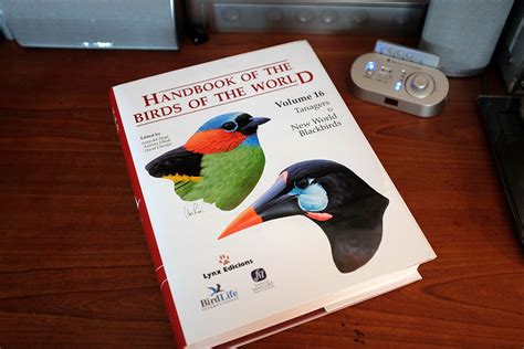 Lynx Edicions Handbook Of The Birds Of The World Rainydaymagazine