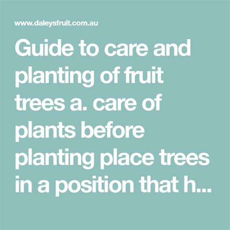 Guide To Care And Planting Of Fruit Trees A Care Of Plants Before
