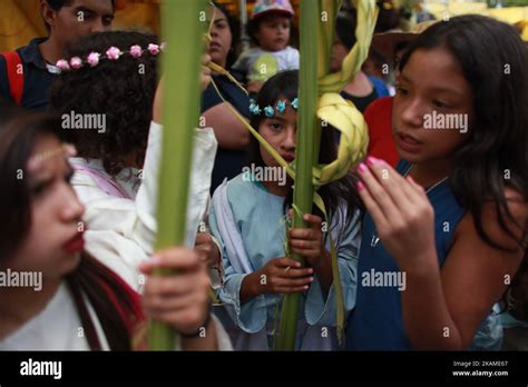 Roman Catholic Devotes During Palm Sunday Palm Fronds Are Waved To Be
