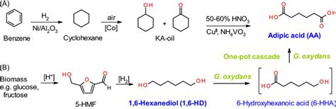 Synthesis Of Adipic Acid By A Conventional Catalytic Process By